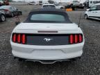 2015 Ford Mustang  for Sale in Hillsborough, NJ - Front End