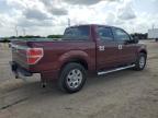 2010 Ford F150 Supercrew   იყიდება Temple-ში, TX - Hail