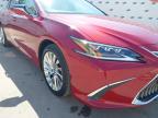 2019 LEXUS ES 300H TA for sale at Copart CHESTER