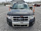 2011 Ford Escape Limited for Sale in Barberton, OH - Front End