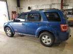 2008 Ford Escape Xls იყიდება Billings-ში, MT - Hail