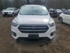 2017 FORD ESCAPE SE for sale at Copart ON - COOKSTOWN