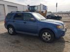 2009 Ford Escape Xlt იყიდება Seaford-ში, DE - Water/Flood