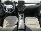 2022 Ford Escape Se for Sale in Woodhaven, MI - Front End