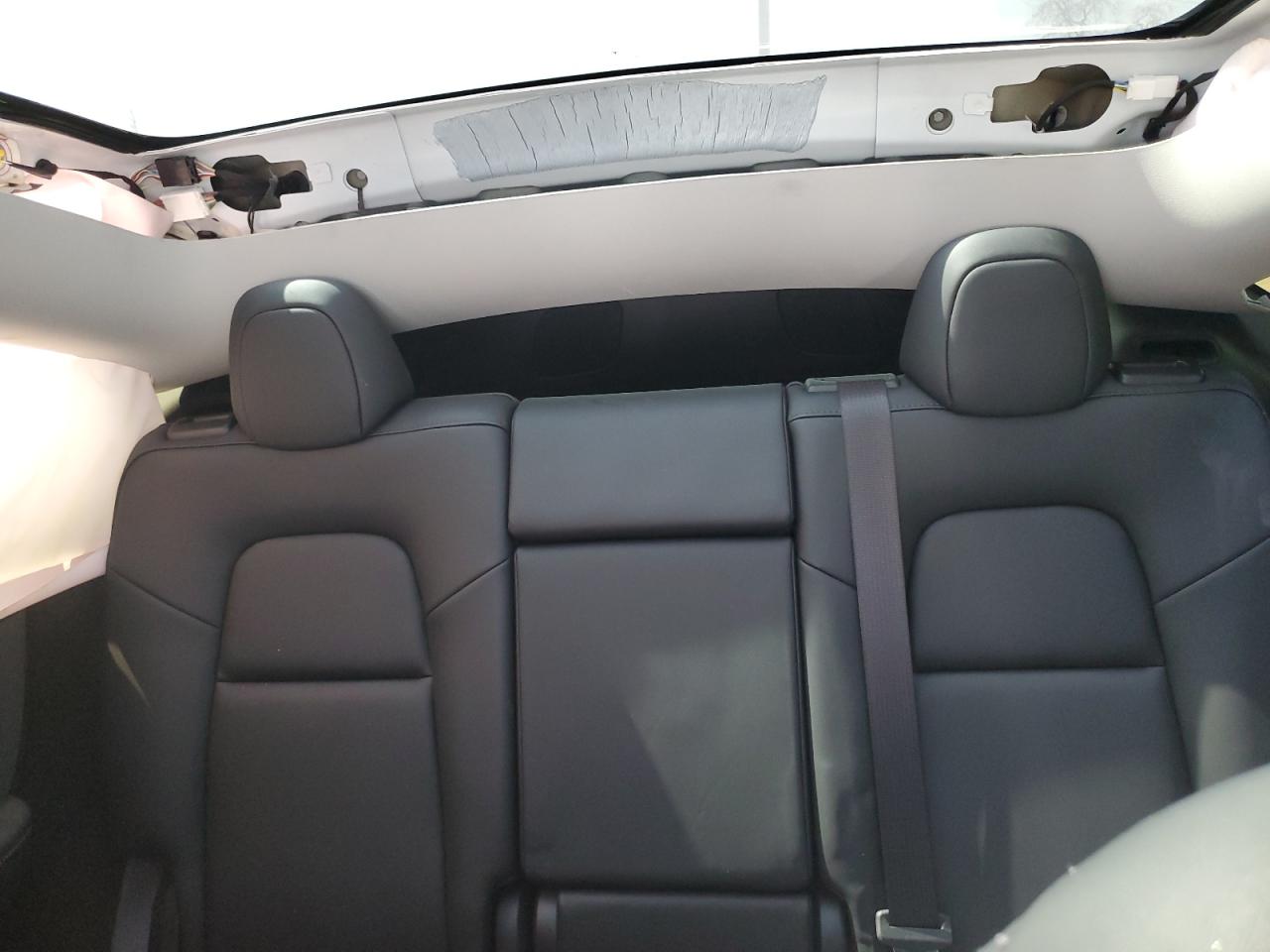 2024 Tesla Model Y VIN: 7SAYGDED8RF047909 Lot: 51341805