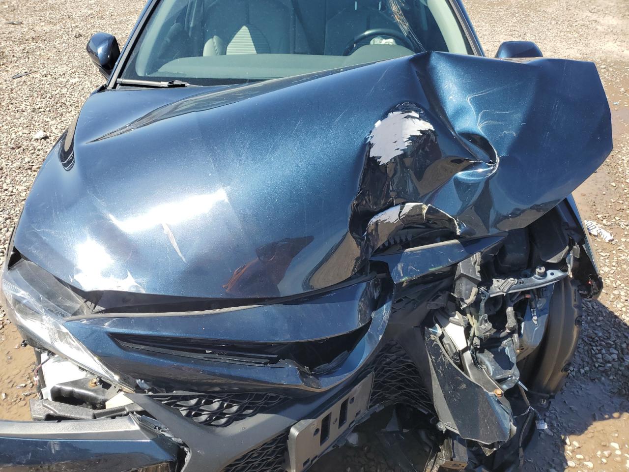 4T1B11HK2KU732803 2019 Toyota Camry L