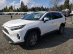 2024 Toyota Rav4 Xle for Sale in Graham, WA - Rear End
