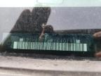 2011 Gmc Canyon Slt იყიდება Lyman-ში, ME - Minor Dent/Scratches