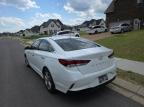 2019 Hyundai Sonata Limited продається в Lebanon, TN - Damage History
