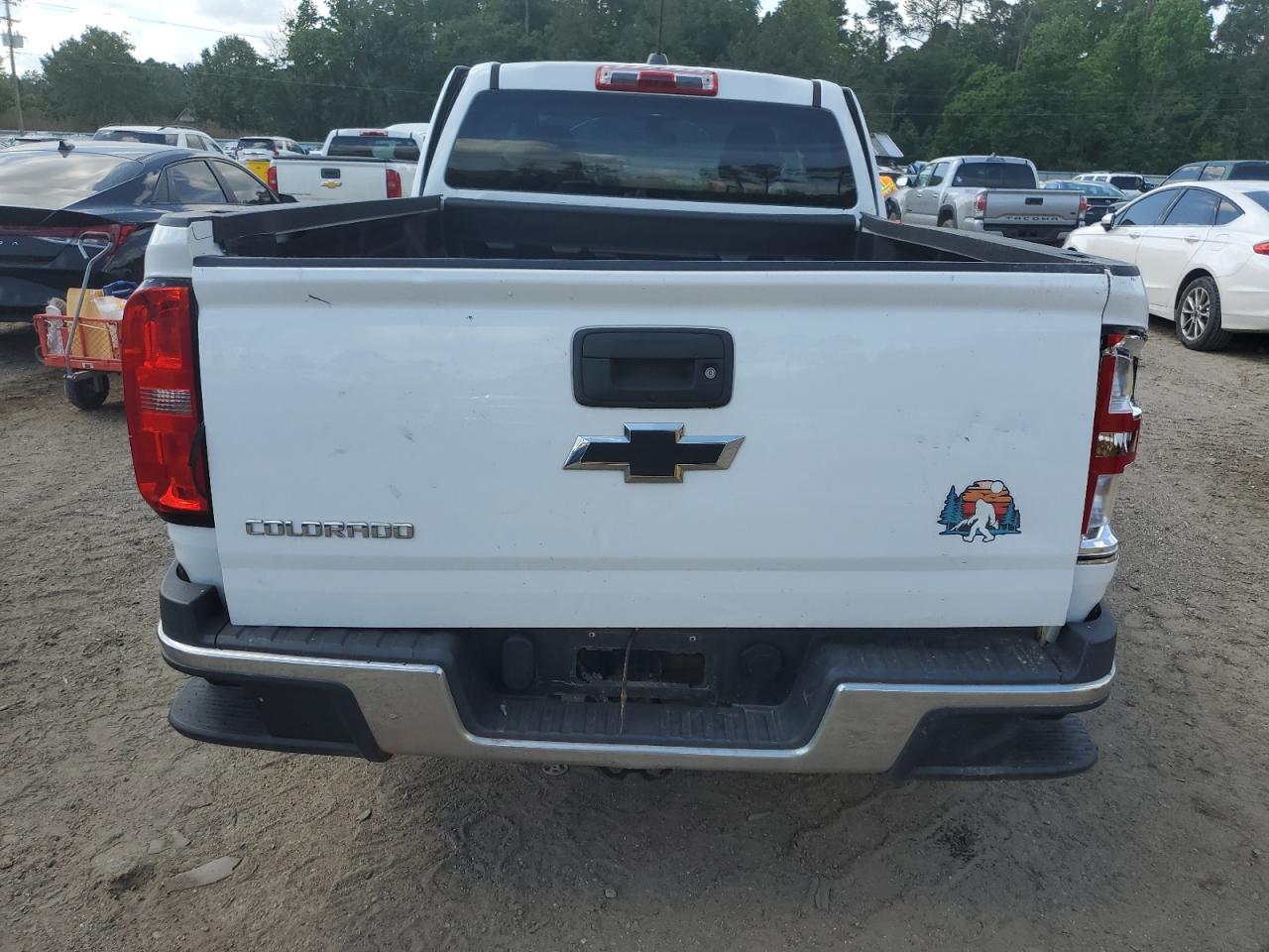 2019 Chevrolet Colorado VIN: 1GCHSBEA4K1169008 Lot: 54797325