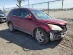 2011 Honda Cr-V Exl na sprzedaż w Cicero, IN - Front End