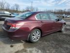 2011 Honda Accord Exl for Sale in Marlboro, NY - Front End