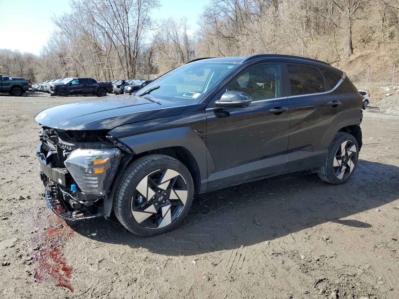 2024 Hyundai Kona Limited للبيع في Marlboro، NY - Rear End