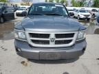 2010 Dodge Dakota Sxt for Sale in Bridgeton, MO - Side