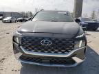 2023 Hyundai Santa Fe Calligraphy for Sale in Wayland, MI - Rear End