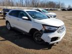 2020 FORD EDGE SEL à vendre chez Copart MI - FLINT