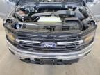 Greenwood, NE에서 판매 중인 2024 Ford F150 Xlt - Hail