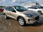 2020 Ford Escape S na sprzedaż w Louisville, KY - Hail