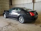 Pennsburg, PA에서 판매 중인 2008 Nissan Maxima Se - Front End