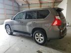 2010 Lexus Gx 460 for Sale in Lawrenceburg, KY - Front End