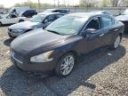 2011 Nissan Maxima S იყიდება Hillsborough-ში, NJ - Front End