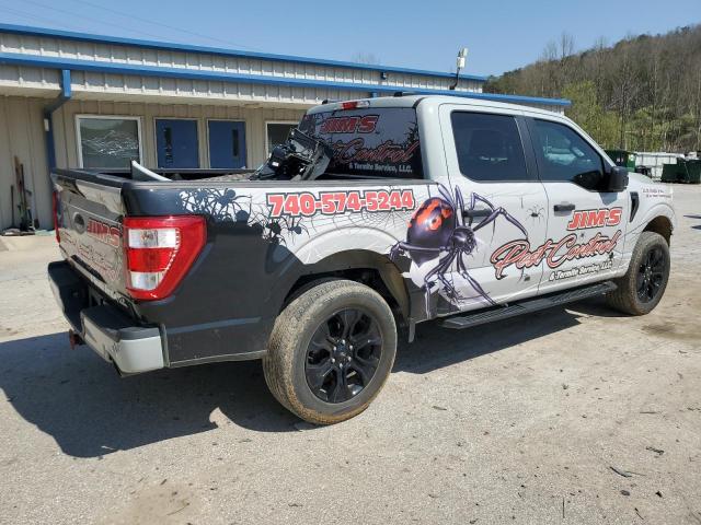  FORD F-150 2023 Серый