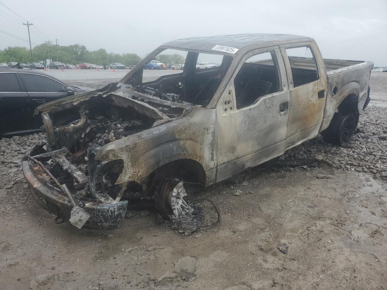 2014 Ford F150 Supercrew de vânzare în Lebanon, TN - Burn