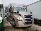 2020 Freightliner Cascadia Semi Truck за продажба в West Warren, MA - Side