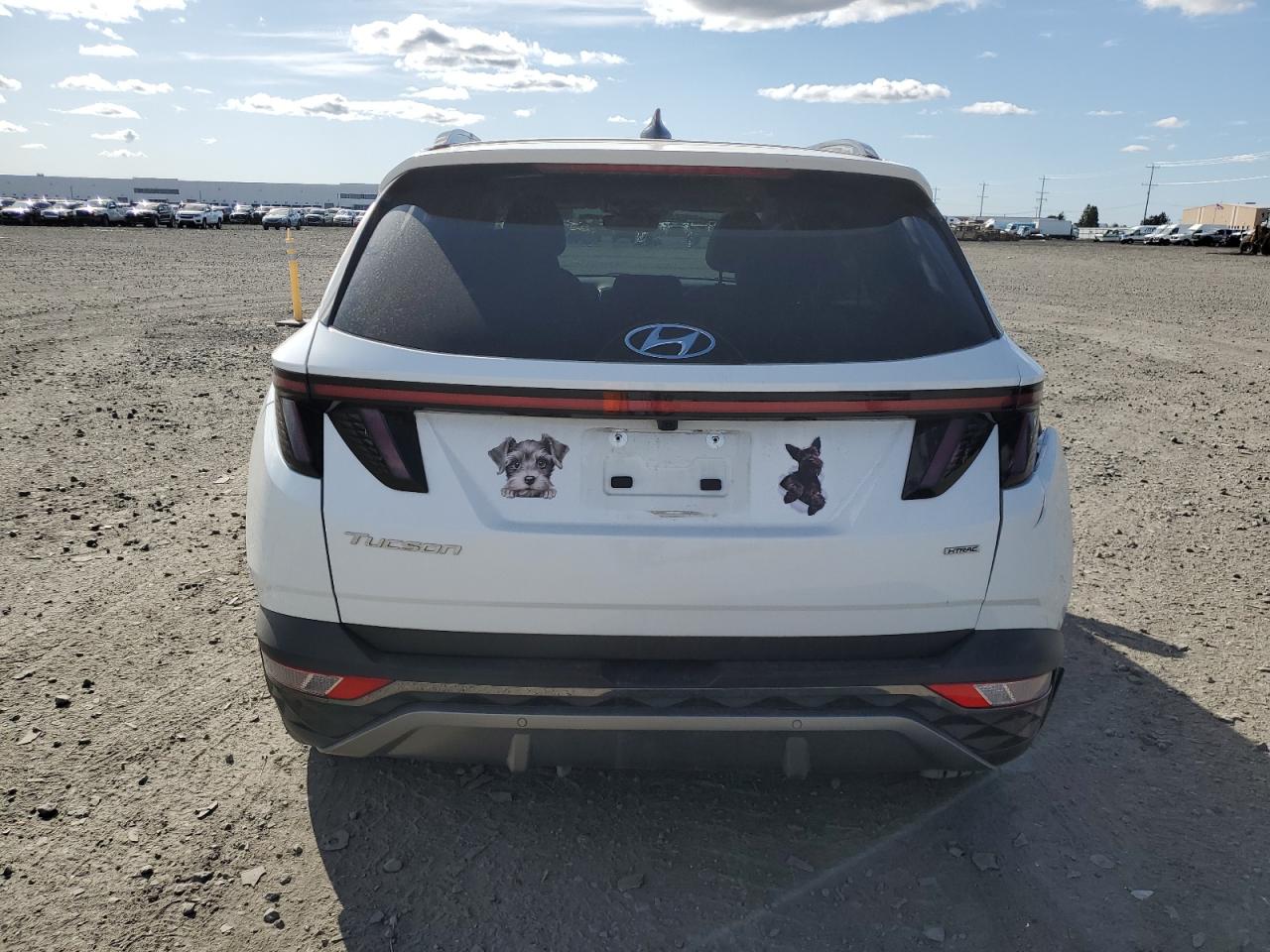 2022 Hyundai Tucson Limited VIN: 5NMJECAE6NH161199 Lot: 53136305