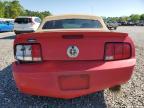 2009 Ford Mustang  zu verkaufen in Augusta, GA - All Over