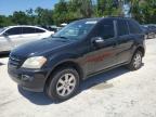 Ocala, FL에서 판매 중인 2007 Mercedes-Benz Ml 350 - Mechanical