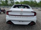 2022 Hyundai Sonata Limited на продаже в Louisville, KY - Hail