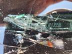 2019 Honda Odyssey Touring на продаже в Eight Mile, AL - All Over
