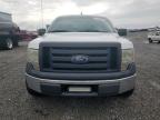 2011 Ford F150  للبيع في Earlington، KY - Hail