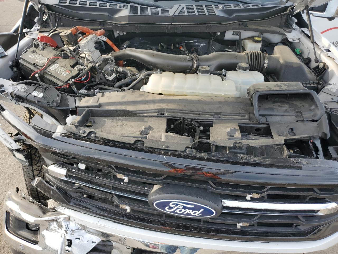 2024 Ford F150 Xlt VIN: 1FTFW3LD0RFA09008 Lot: 54325555