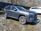 2019 Toyota Rav4 Xle Premium for Sale in Waldorf, MD - Rear End