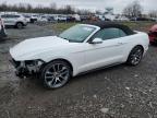 2015 Ford Mustang  for Sale in Hillsborough, NJ - Front End