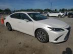 2021 Lexus Es 300H for Sale in Fredericksburg, VA - Rear End