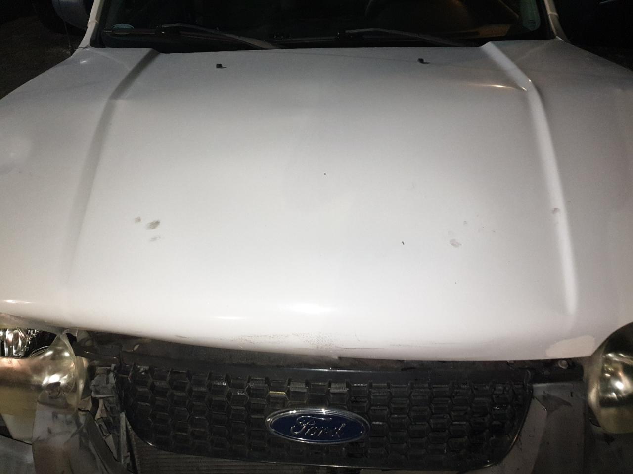 2006 Ford Escape Hev VIN: 1FMCU95H56KC36057 Lot: 54802595