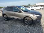 2023 Ford Escape St Line for Sale in Arcadia, FL - Side