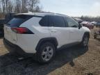2023 TOYOTA RAV4 XLE for sale at Copart ON - COOKSTOWN