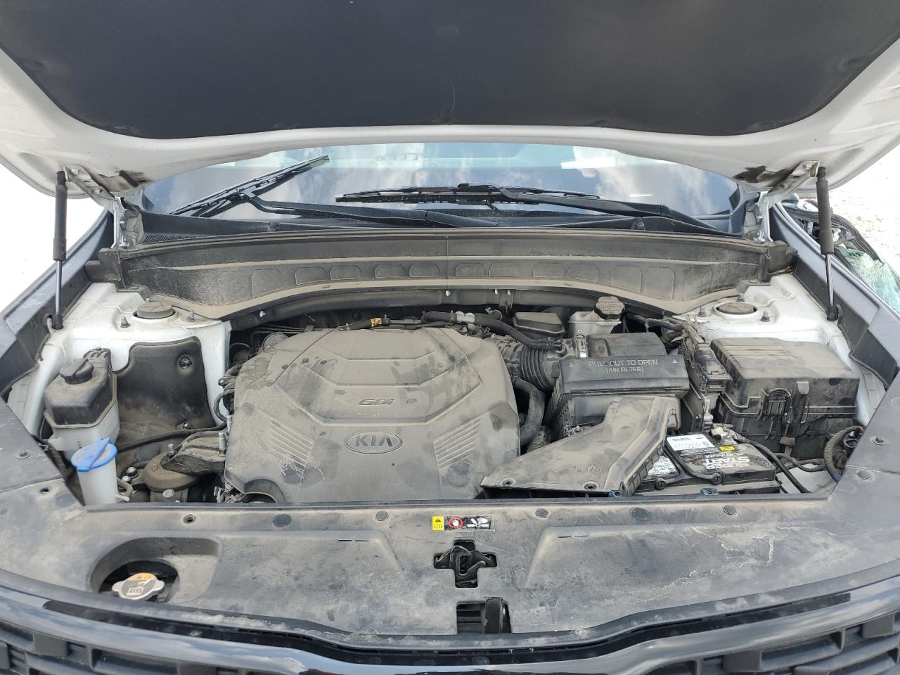 2020 Kia Telluride Sx VIN: 5XYP5DHC5LG091531 Lot: 54584635