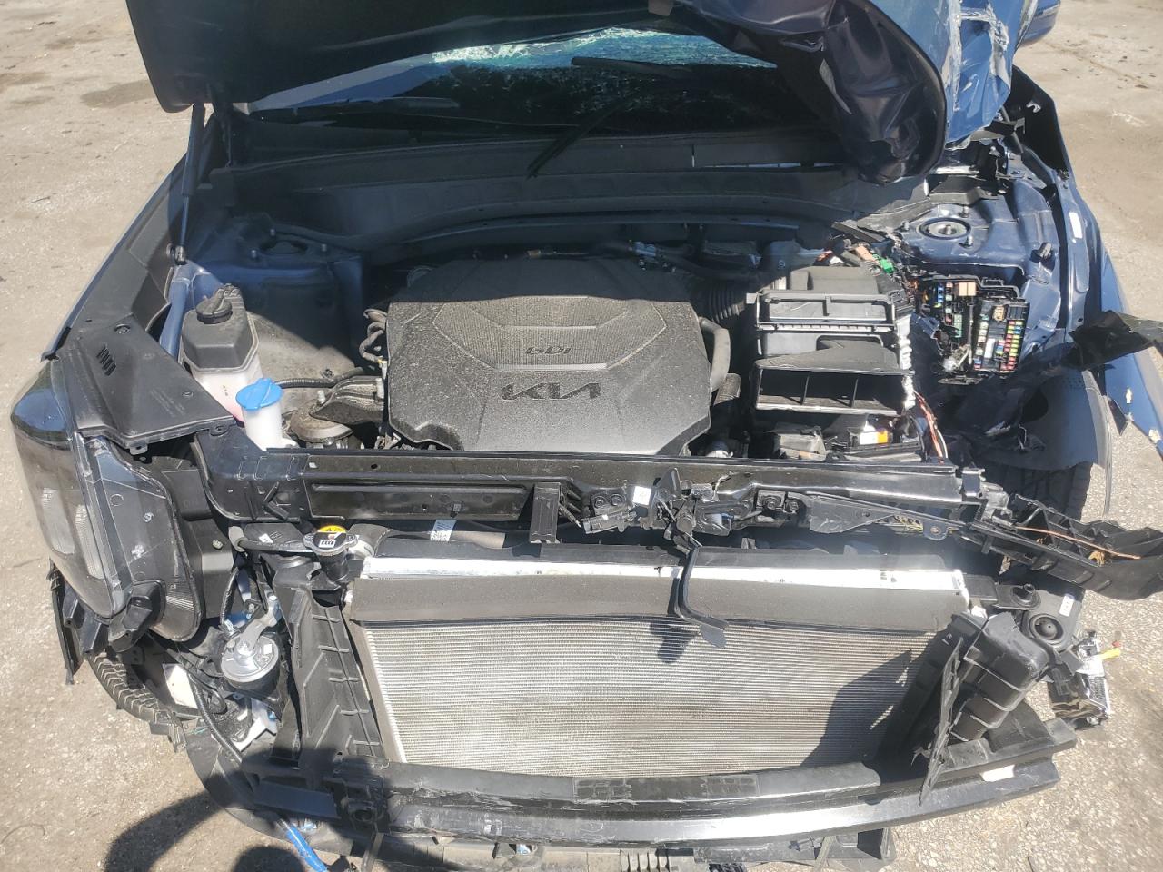 2024 Kia Telluride Sx VIN: 5XYP5DGC1RG439447 Lot: 52987835