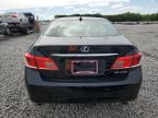 2011 Lexus Es 350 zu verkaufen in Memphis, TN - All Over