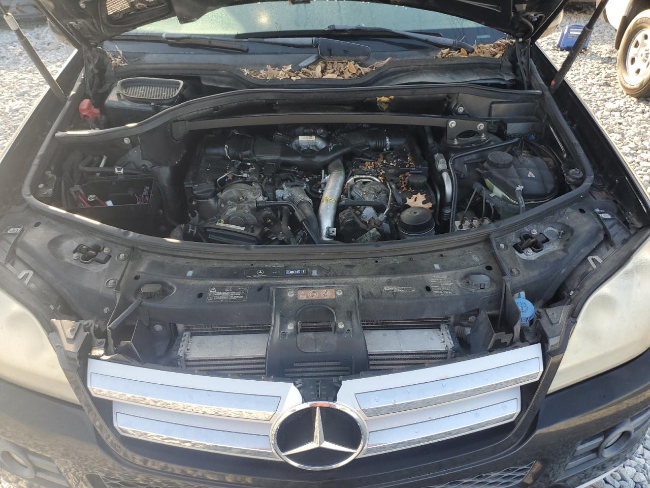 2009 Mercedes-Benz Gl VIN: 4JGBF25E09A498663 Lot: 54608385