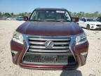 Houston, TX에서 판매 중인 2017 Lexus Gx 460 - Hail