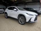 2025 Lexus Nx 350 Premium   for Sale in American Canyon, CA - Rear End