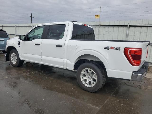  FORD F-150 2023 Белы