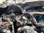 2008 Lexus Is 250 იყიდება Mebane-ში, NC - Burn - Engine