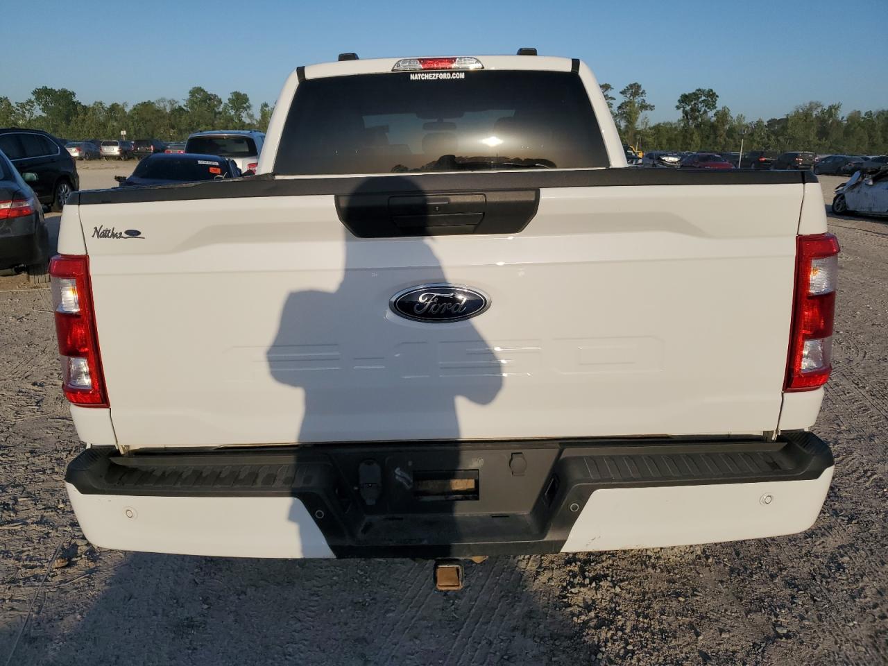 1FTFW1E51MFC00293 FORD F-150 2021
